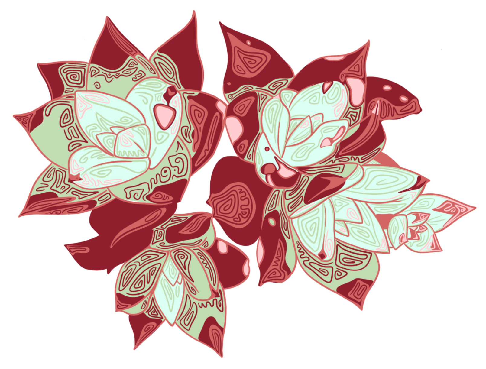 Californian Succulent Design